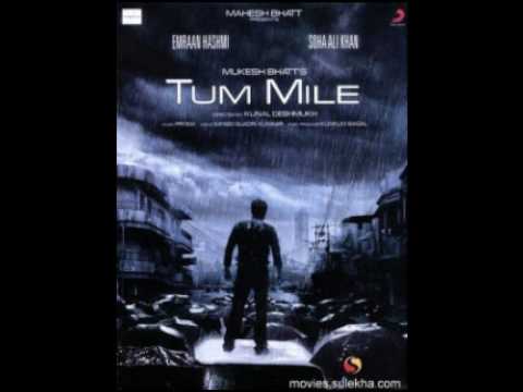 tum mile title song full shafqat amanat ali