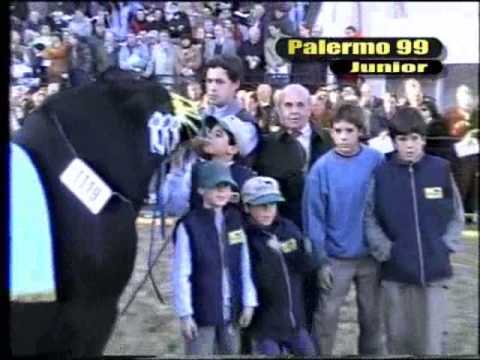 CABAÑA TRES MARIAS P3