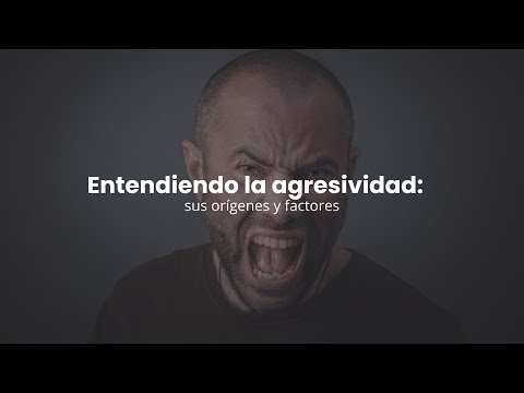 Alejandra Ibarra-10