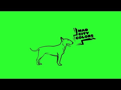 EZIJA - COOK IT AT THE BASEMENT con NATE NYZE