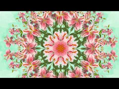 17 Meus irmãos - Hinário Caboclo Pena Dourada - C.E.U. Sagrada Tradição