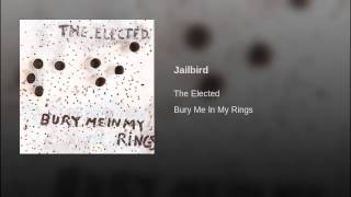 Jailbird Music Video
