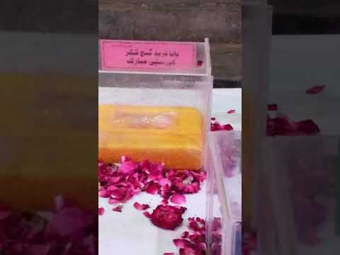 11 asi chize jo  SUBHAN ne dondi