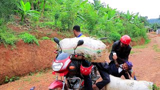 Download lagu MITSUTSU COMEDY :Ubusinzi bukabije part 35 mp3