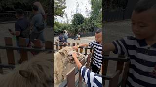 Download lagu Abang dan Adik berlibur ke The Nice Park Bandung mp3 Download lagu Abang dan Adik berlibur ke The Nice Park Bandung mp3