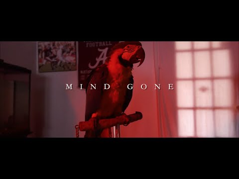 TooEasy Black - Mind Gone | Prod. OGLUKE (Official Video)