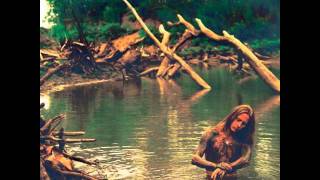 Jerry Cantrell - Devil by his Side