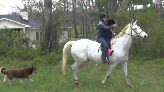 Grand Daughter first Horse ride Love Family Times Suzanne Vega Priscilla Theme tribute song
