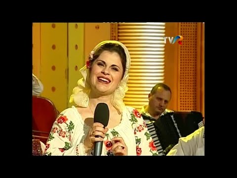 Simona Dinescu - Cantecul strainului