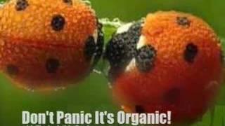 Invisible Gardener Short