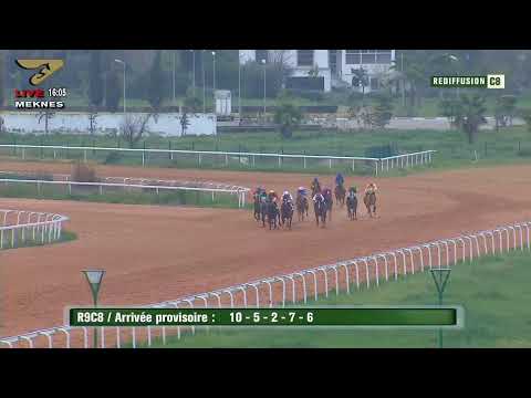 Live Hippodrome « MEKNES » | Courses du « 23/02/2023 »