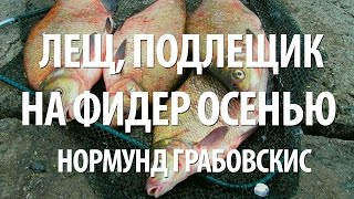 Лещ на что клюет осенью