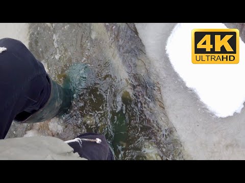 Crossing a river in the snow storm - (4K) HDR (Germany)