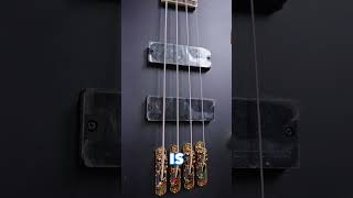 Video thumbnail for Iceman Basses are Back! Ibanez ICB620 🤘 #bass #bassguitar #ibanez #ibanezbass #metalbass #bassgear by Chuck Levin's Washington Music Center