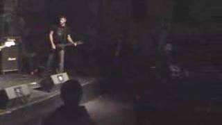 Pulling Teeth Stone Throwers