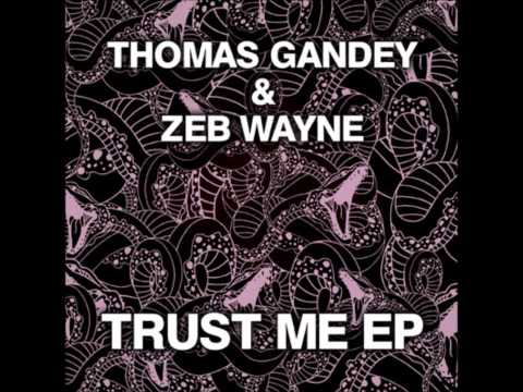 THOMAS GANDEY, ZEB WAYNE - TRUST ME Original Mix