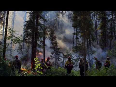 YEARS of LIVING DANGEROUSLY [Trailer]