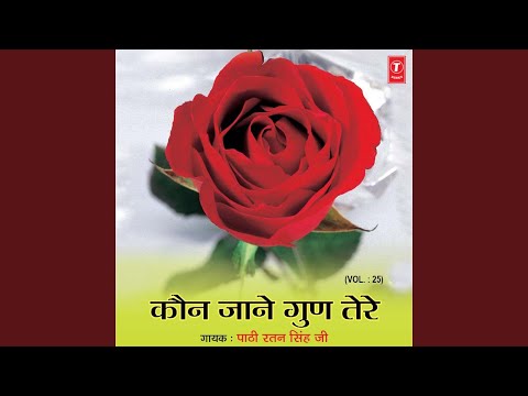 Ik Pal Sajan Nazar Na Aave - Bani Chatar Das Ji