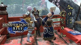 【MHRise】今日は探索日和