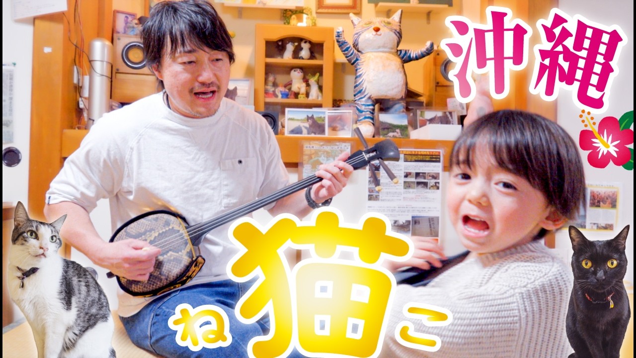 【沖縄】カワイイ猫ちゃんに会える自由すぎる自然派カフェ ※猫丸庵は猫カフェではございません