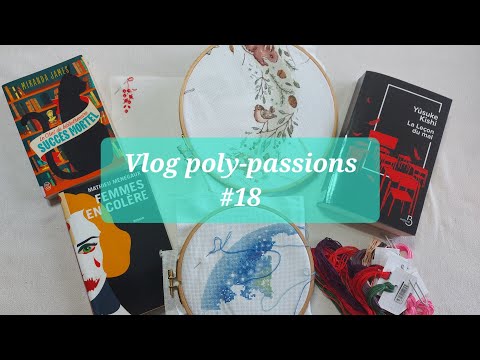 Vlog poly-passions #18 - celle qui cherche son organisation