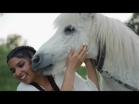 1 HOUR of AMAZING HORSES From Around the World - Best Relax Music, Meditation, Stress Relief, Calm