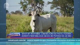 SENAR MT Responde: manejo de pastagem