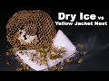 Destroying A Dangerous Yellow Jacket Nest With Dry Ice. Mousetrap Monday