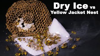 Destroying A Dangerous Yellow Jacket Nest With Dry Ice. Mousetrap Monday