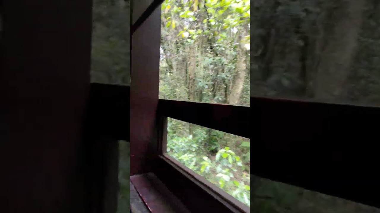 YouTube Short thumbnail