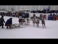 Надым день оленевода 2014 