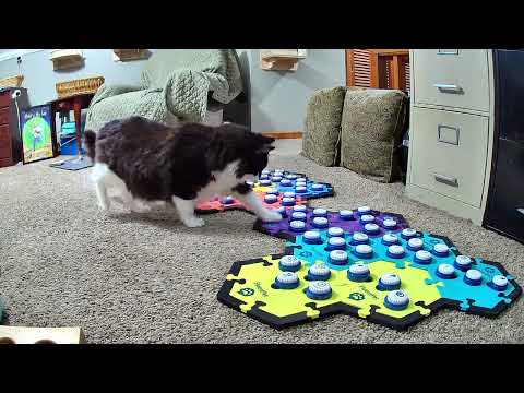 Todd Is Still Very Sad