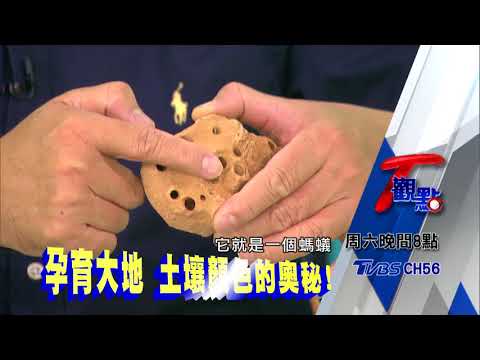土壤顏色代表