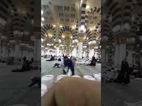 Rawdah mubarak || Masjid Nabawi-Madinah.