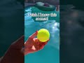 Easy way to keep the pool clean! #summer #pool #tips