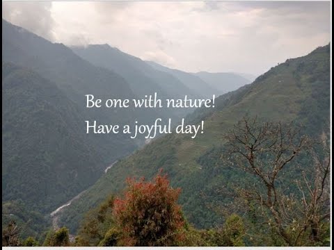 Vidya Chikte -  Mindful Asking - Energy from Nature (Planting Seeds of Mindfulness)