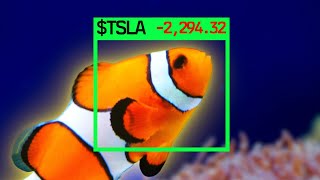 I Gave This Fish $10,000 to Trade Stocks