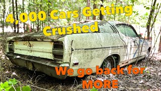 4000 antique cars getting crushed! We go back to save more!