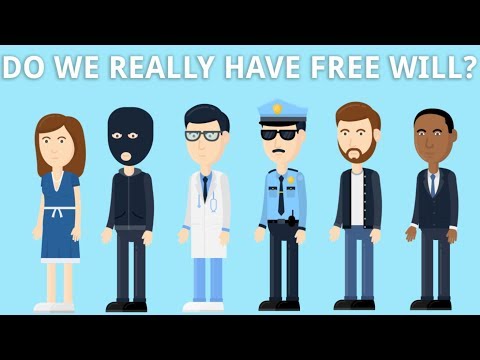 Do We Really Have Free Will?