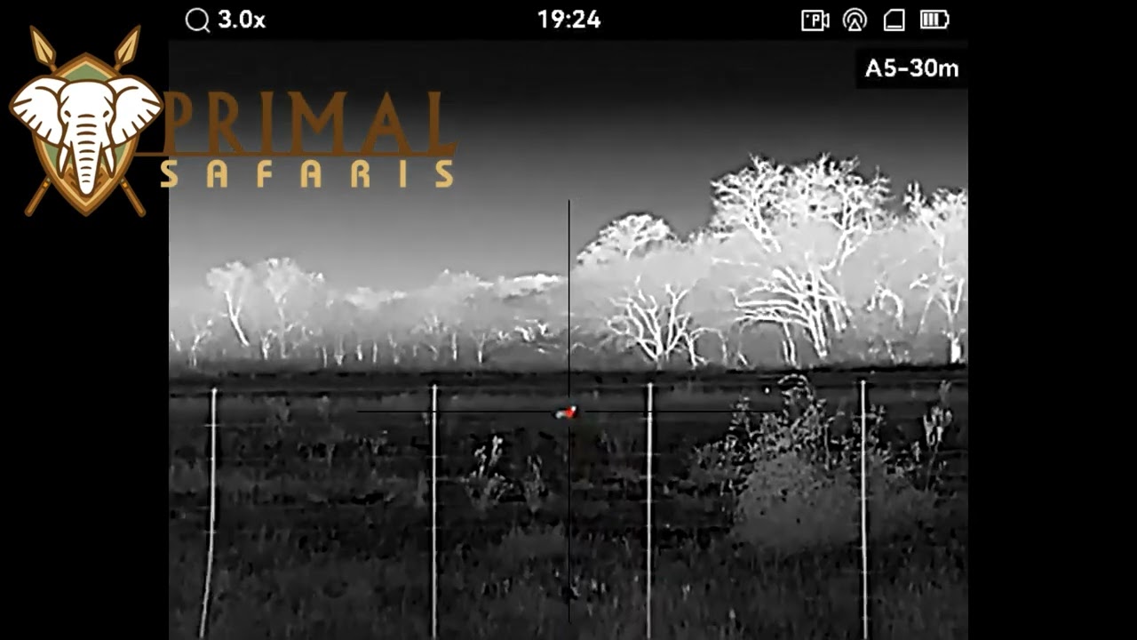 Caza nocturna de chacales en Sudáfrica