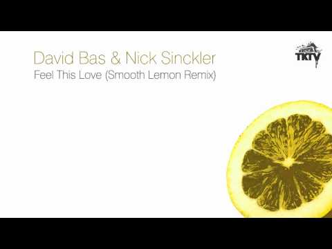 David Bas & Nick Sinckler - Feel This Love (Smooth Lemon Remix) // Progressive House
