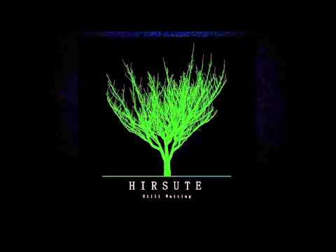 Hirsute - Where You Left Me To Drown