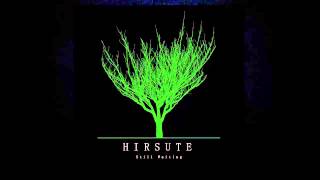 Hirsute - Where You Left Me To Drown