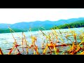 Aathu Metula Oru Pattu