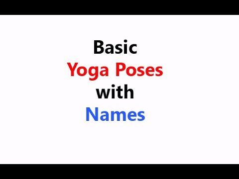 Basic Yoga Poses with Names for Beginners