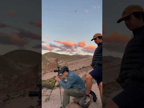 Los Bolillos es mágico