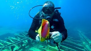 WHAT IS "SNUBA" DIVING?!