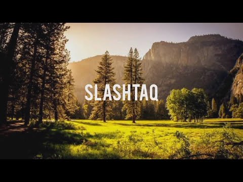 Slashtaq - Neverland feat. kalu (video lyrics)