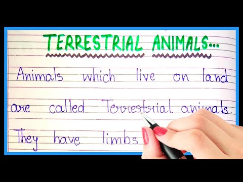 terrestrial-meaning Mp4 3GP Video & Mp3 Download unlimited Videos Download terrestrial-meaning Mp4 3GP Video & Mp3 Download unlimited Videos Download