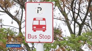 140a Titirangi Road, New Lynn - Jackie Ostrowski and Denis Dias